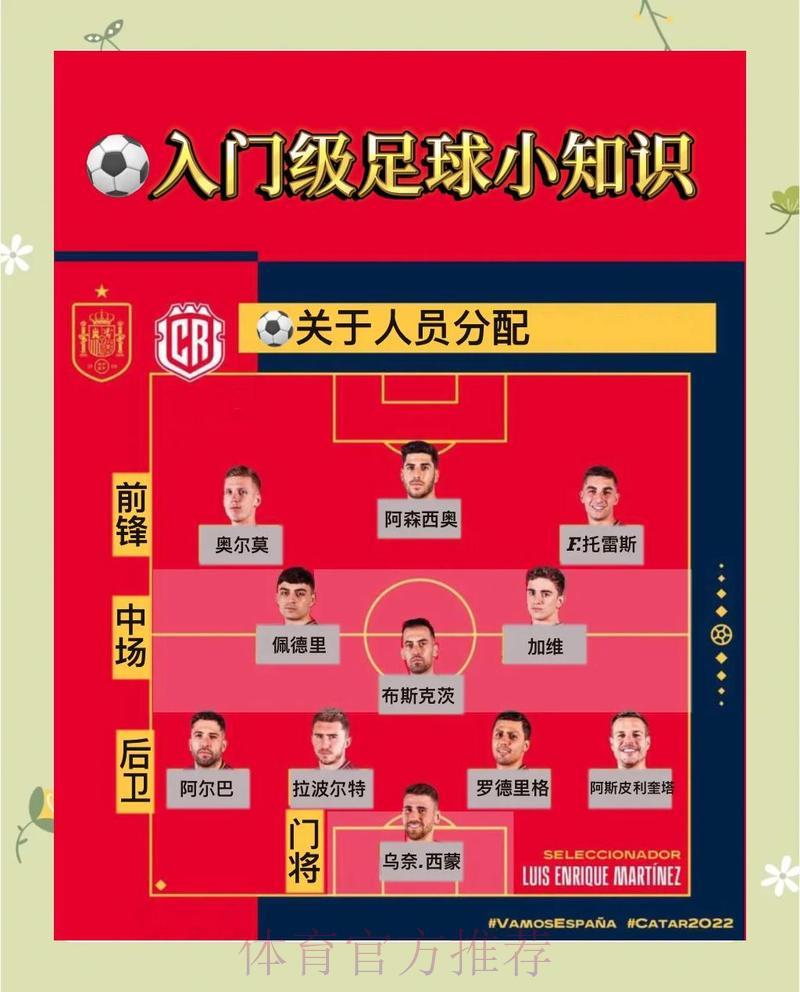 世界杯实时比分直播全攻略，球迷观赛不可错过的必备指南